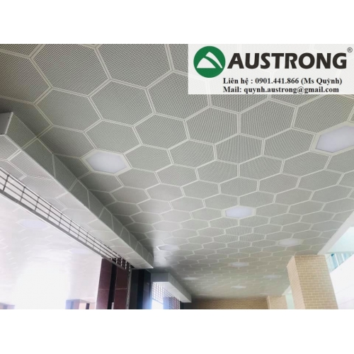 Sử dụng trần nhôm Austrong cho phòng khách trở nên đẹp hoàn hảo và sang trọng