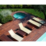 Sàn gỗ căm xe có bị mối mọt không?