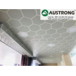 Sử dụng trần nhôm Austrong cho phòng khách trở nên đẹp hoàn hảo và sang trọng